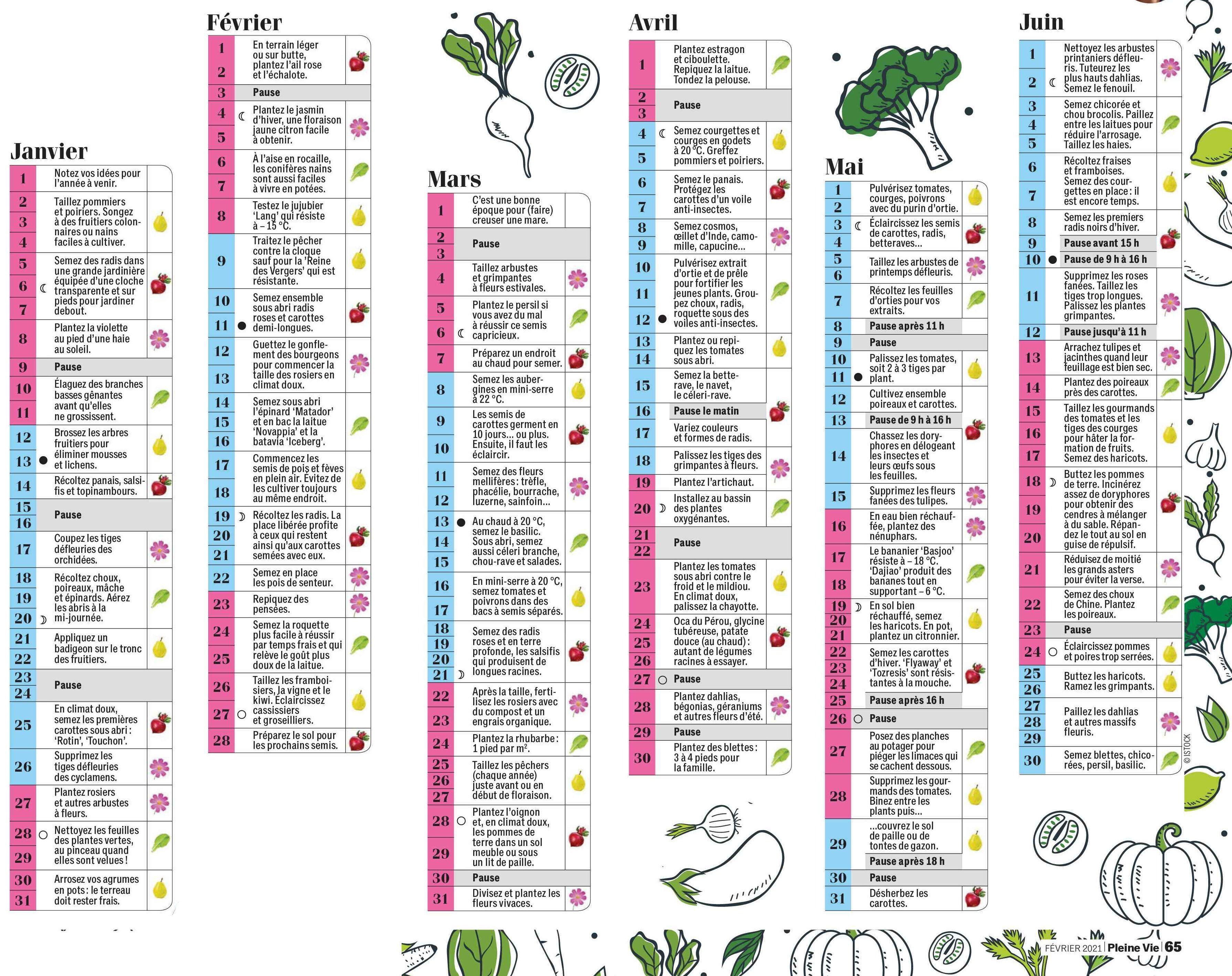 Calendrier Lunaire Vigne 2023 Pleine Vie : Votre Calendrier Lunaire 2021