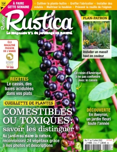 Rustica | 