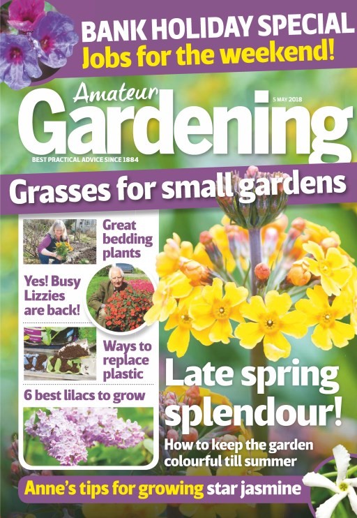 Amateur Gardening - 